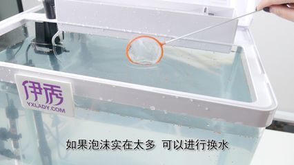 魚缸需要徹底換水嗎為什么（生態魚缸換水需要徹底換水嗎，魚缸需要徹底換水嗎）