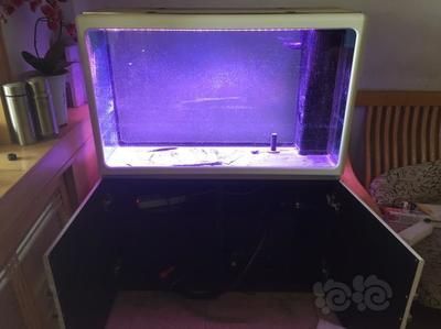 十大品牌魚缸排名：十大品牌魚缸品牌