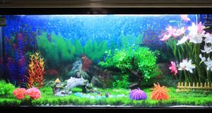 水族箱品牌排行榜：于水族器材品牌數據研究部門排序不分先后得出品牌榜單