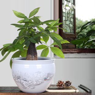 景德鎮(zhèn)的魚缸可以裝飲用水嗎現(xiàn)在（如何安全處理魚缸廢水）