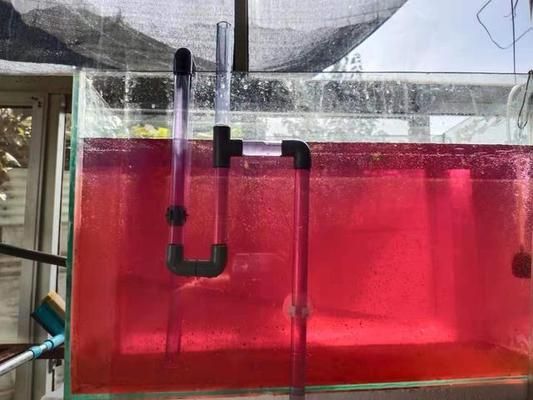 魚缸過濾系統的演變史：底濾魚缸改上濾魚缸改造的心理學影響魚缸改造的心理學 魚缸過濾系統的演變史：底濾魚缸改上濾魚缸改造的心理學影響魚缸改造的心理學 魚缸百科 第1張