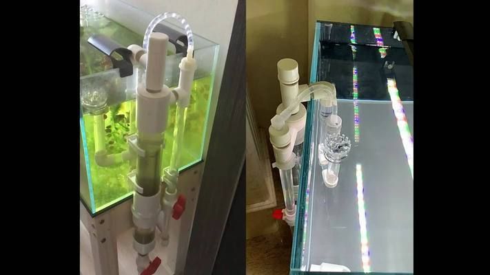 魚缸過濾系統的演變史：底濾魚缸改上濾魚缸改造的心理學影響魚缸改造的心理學 魚缸過濾系統的演變史：底濾魚缸改上濾魚缸改造的心理學影響魚缸改造的心理學 魚缸百科 第3張