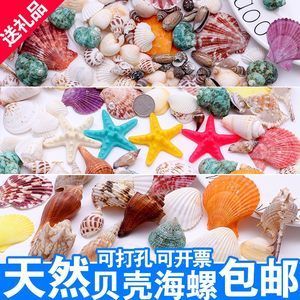 海星牌魚缸質量好不好（海星牌魚缸材質解析海星牌魚缸材質解析海星牌魚缸材質解析）