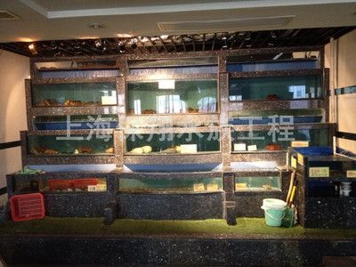 嘉興魚缸廠：嘉興魚缸廠售后服務(wù)保障嘉興魚缸廠客戶評價(jià)匯總