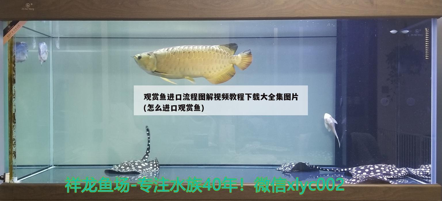 南充市開發區馨居水族體驗店 南充市開發區馨居水族體驗店 全國水族館企業名錄 第1張