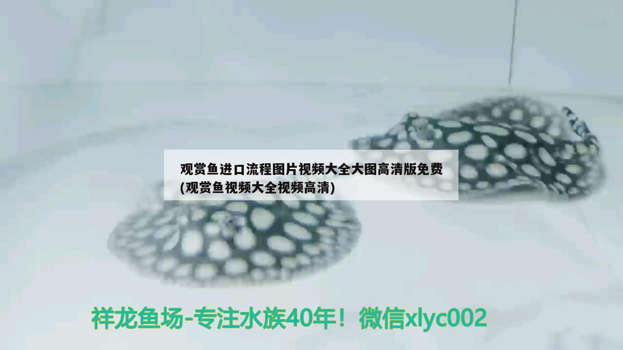 南充市開發區馨居水族體驗店 南充市開發區馨居水族體驗店 全國水族館企業名錄 第2張