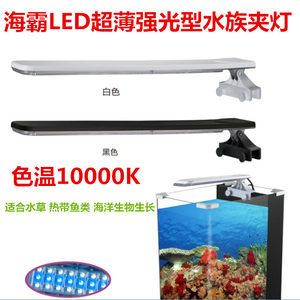 西安秦海寵物用品有限公司海霸魚缸養(yǎng)護與維護指南養(yǎng)護指南：海霸魚缸價格怎么樣