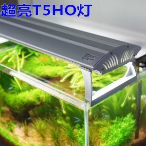 西安秦海寵物用品有限公司海霸魚缸養(yǎng)護與維護指南養(yǎng)護指南：海霸魚缸價格怎么樣