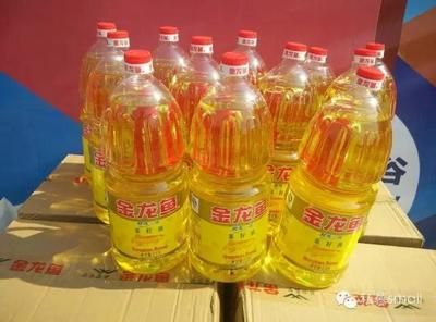 金龍魚3.68升是多少錢（金龍魚上市價格區(qū)間分析） 金龍魚3.68升是多少錢（金龍魚上市價格區(qū)間分析） 龍魚百科 第3張