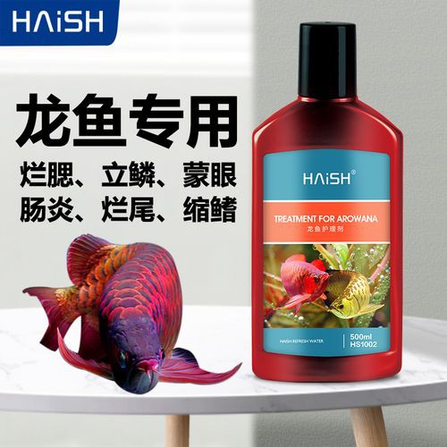 紅龍魚爛鱗片怎么治療圖片