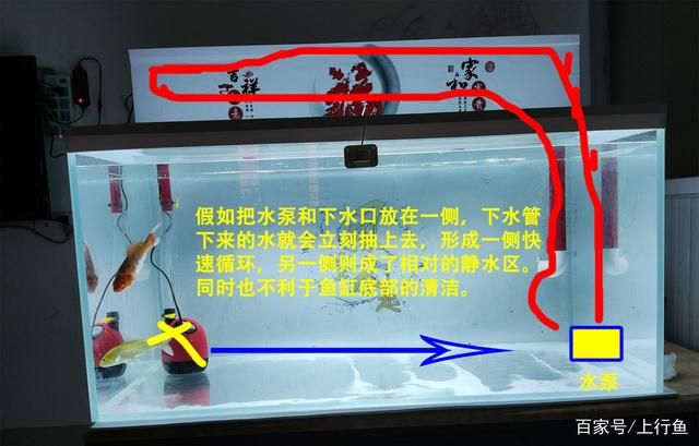 魚缸出水口水上還是水下：關(guān)于魚缸出水口在水上還是水下