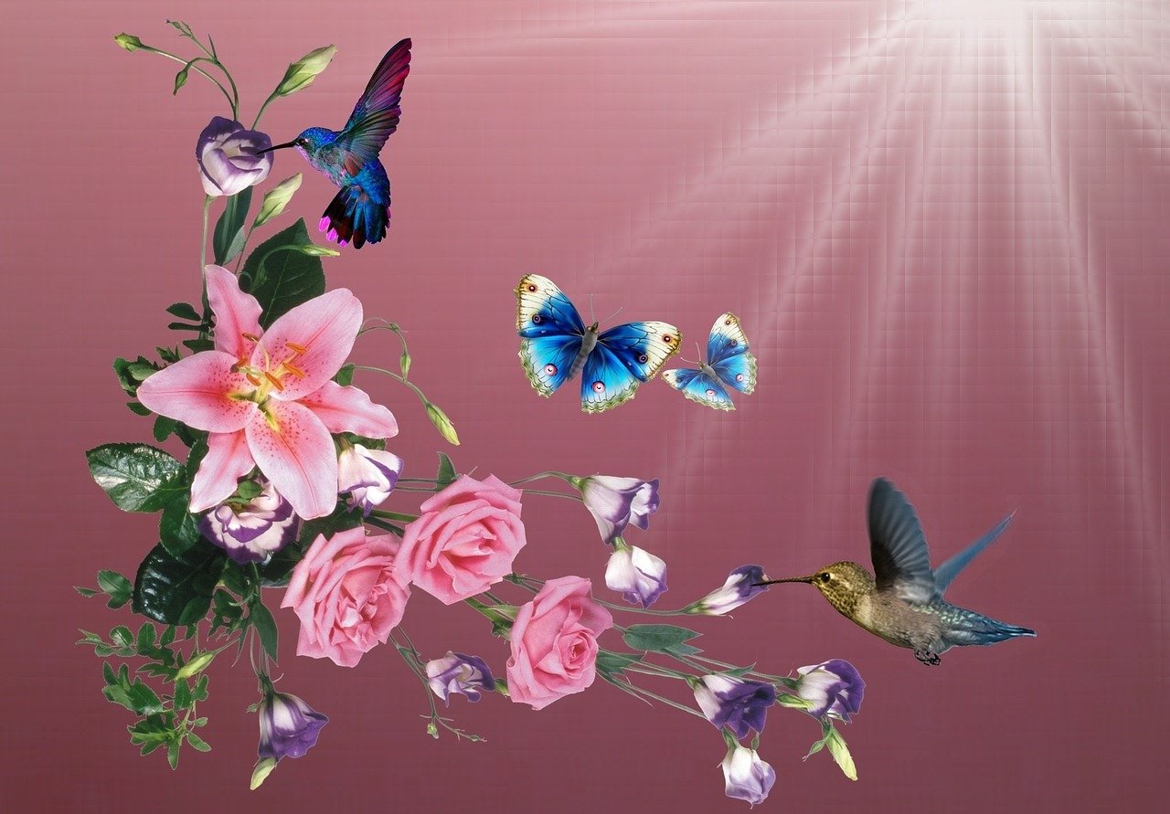 <strong><mark>浙江</mark></strong>鳳起花鳥城錦川水族館（<strong><mark>浙江</mark></strong>鳳起花鳥城(鳳起東路)）