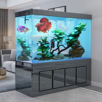 江彩魚缸:江彩魚缸價格區(qū)間對比江彩魚缸價格區(qū)間對比 魚缸百科 第1張 江彩魚缸:江彩魚缸價格區(qū)間對比江彩魚缸價格區(qū)間對比 江彩魚缸:江彩魚缸價格區(qū)間對比江彩魚缸價格區(qū)間對比 魚缸百科 第1張