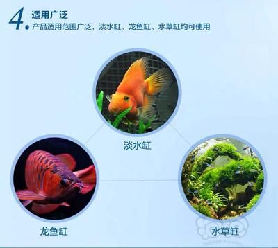 龍魚缸除藻最佳方法是什么呢（魚缸除藻的方法） 龍魚缸除藻最佳方法是什么呢（魚缸除藻的方法） 魚缸百科