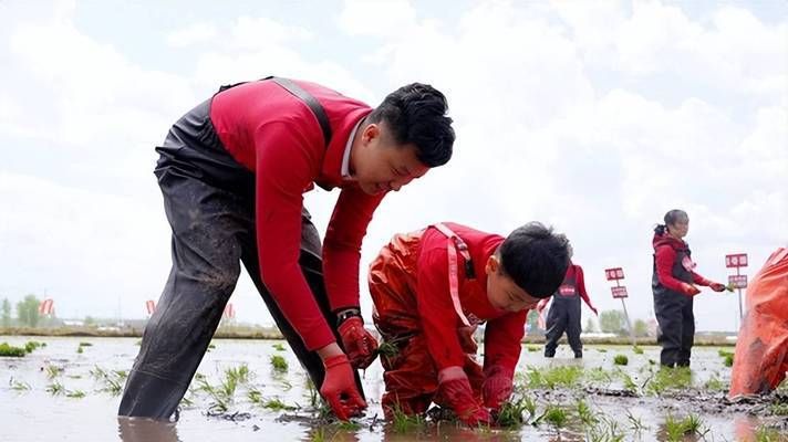 金龍魚基地 大罐子：金龍魚基地大罐子是什么？