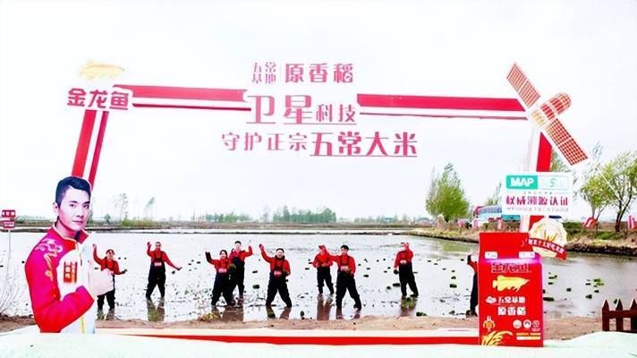 金龍魚基地 大罐子：金龍魚基地大罐子是什么？