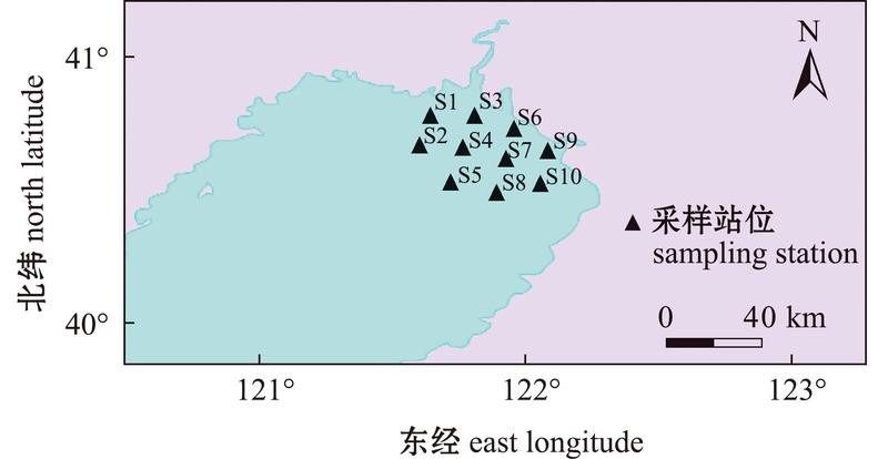 eDNA技術如何檢測金龍魚血統？