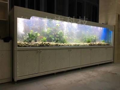 魚缸尺寸與室內設計協調：魚缸尺寸與室內設計協調是確保魚缸在家居環境中既美觀又實用的關鍵