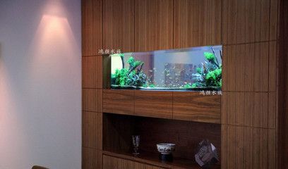 魚缸尺寸與室內設計協調：魚缸尺寸與室內設計協調是確保魚缸在家居環境中既美觀又實用的關鍵