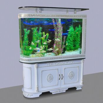 魚缸多少錢一個？：進口魚缸品牌性價比對比進口魚缸品牌性價比對比