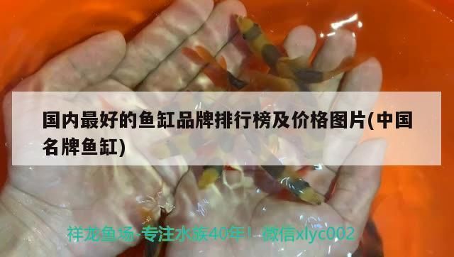 魚缸多少錢一個？：進口魚缸品牌性價比對比進口魚缸品牌性價比對比