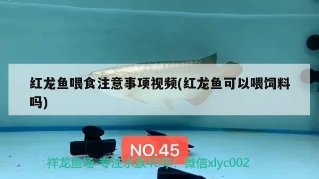 魚缸好的夸贊語句：優(yōu)質(zhì)魚缸設(shè)計(jì)靈感來源如何挑選優(yōu)質(zhì)魚缸內(nèi)植物選擇
