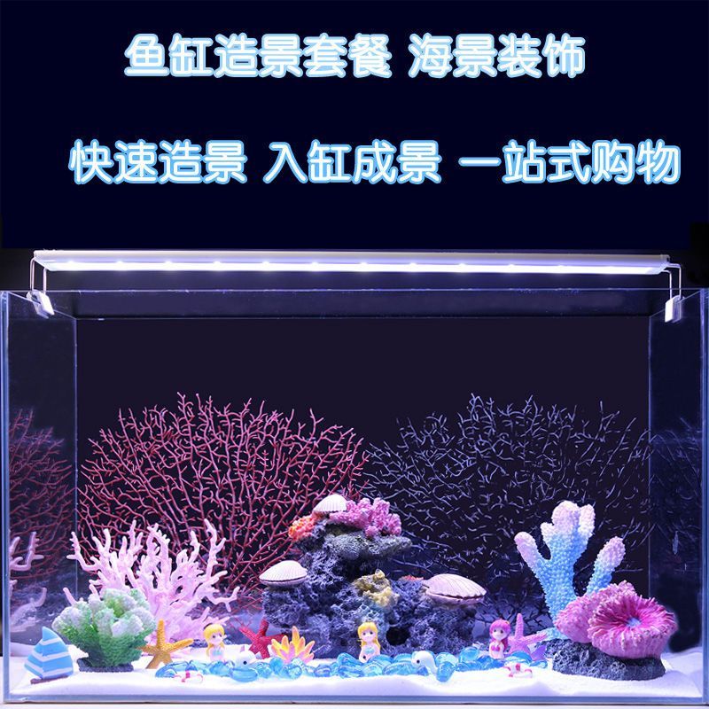生態魚缸與海景魚缸的區別：海景魚缸與生態魚缸的養護技巧養護技巧養護生態魚缸 生態魚缸與海景魚缸的區別：海景魚缸與生態魚缸的養護技巧養護技巧養護生態魚缸 魚缸百科 第4張