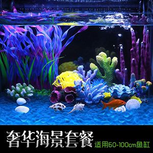 生態魚缸與海景魚缸的區別：海景魚缸與生態魚缸的養護技巧養護技巧養護生態魚缸 生態魚缸與海景魚缸的區別：海景魚缸與生態魚缸的養護技巧養護技巧養護生態魚缸 魚缸百科 第3張
