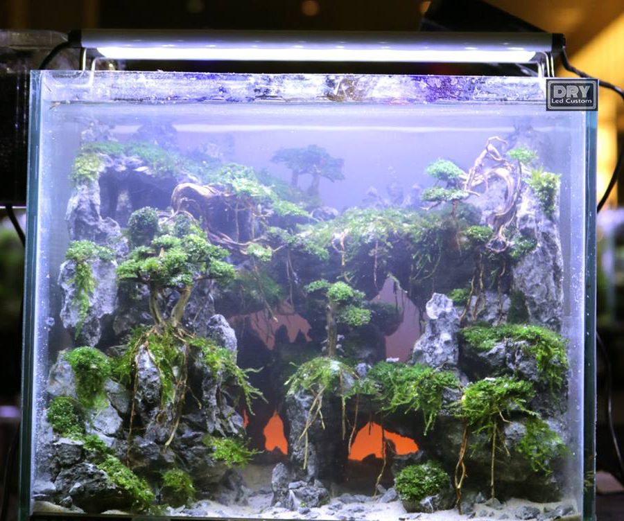 魚缸造景的技巧：如何選擇合適的魚缸底砂？