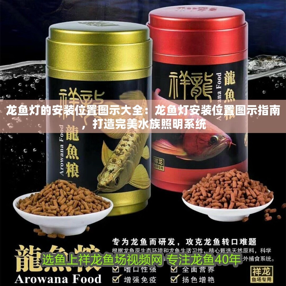 龍魚燈的安裝位置圖示大全：龍魚燈安裝位置圖示指南，打造完美水族照明系統 龍魚燈的安裝位置圖示大全：龍魚燈安裝位置圖示指南，打造完美水族照明系統 龍魚百科 第1張