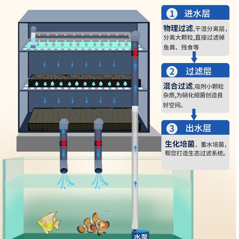 觀賞魚缸水泵怎么安裝（觀賞魚缸水泵安裝步驟）