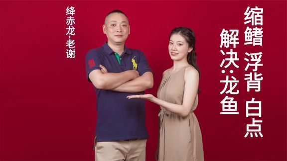 龍魚疾病的預(yù)防和治療圖解大全視頻：如何有效的預(yù)防和治療龍魚疾病