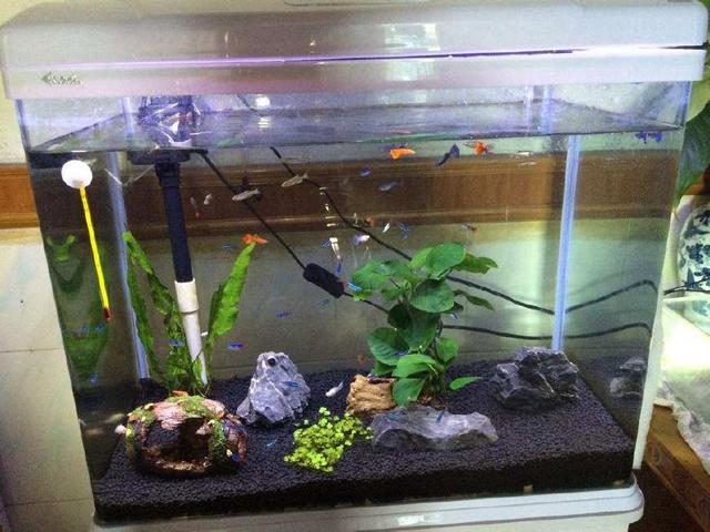 敖漢旗藍視界水族館（敖漢旗藍視界水族館電話） 敖漢旗藍視界水族館（敖漢旗藍視界水族館電話） 全國水族館企業名錄
