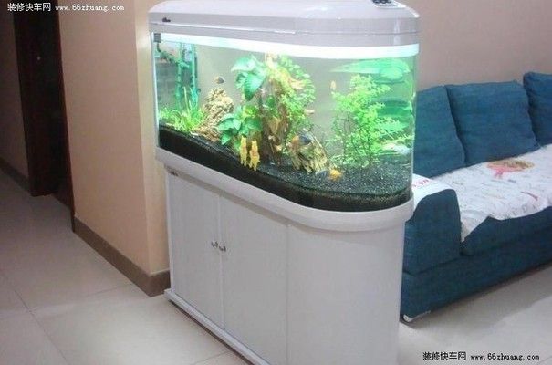 柜臺下面放魚缸在風水學上有哪些講究？：家居風水中的禁忌與破解