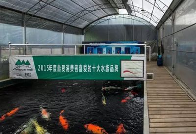 世界魚缸品牌：世界魚缸品牌分析 世界魚缸品牌：世界魚缸品牌分析 魚缸百科 第1張