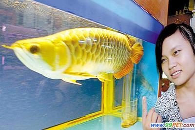 曲阜市海晶壁掛水族店（曲阜市海晶壁掛水族店地址）