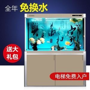 魚(yú)缸底濾的工作原理：養(yǎng)魚(yú)新手入門(mén)指南