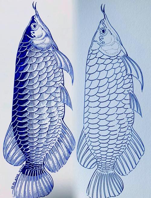 紋身圖案龍魚(yú)