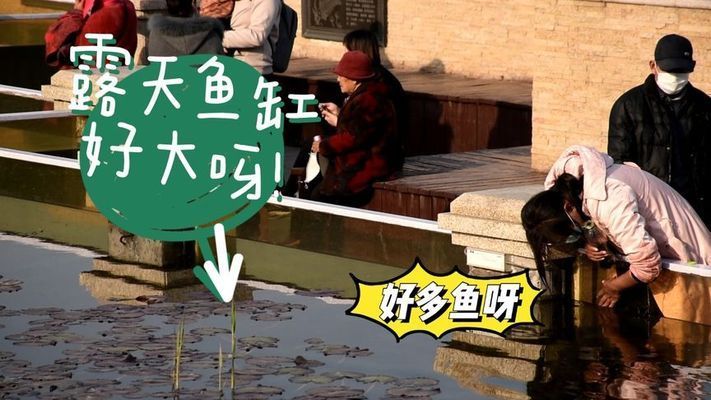 桓臺縣幾個賣魚缸的店子的位置信息：水族養(yǎng)護(hù)全指南：桓臺縣幾個賣魚缸的店子 桓臺縣幾個賣魚缸的店子的位置信息：水族養(yǎng)護(hù)全指南：桓臺縣幾個賣魚缸的店子 魚缸百科