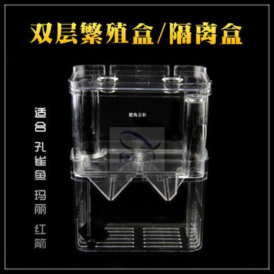 養紅箭魚時，需要在魚缸中添加鹽，存在不同的觀點和建議：養紅箭魚時需要在魚缸中添加鹽嗎？