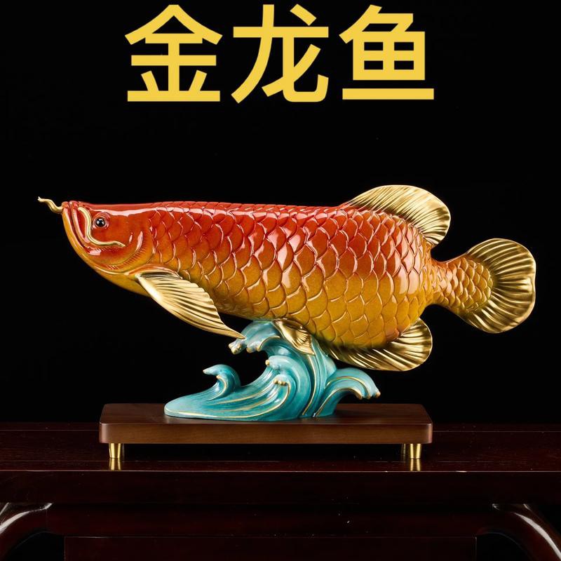 古銅色金龍魚 古銅色金龍魚 龍魚百科 第1張