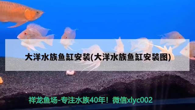 鶴崗市工農區克洋水族館（鶴崗市工農區克洋水族館電話號碼）