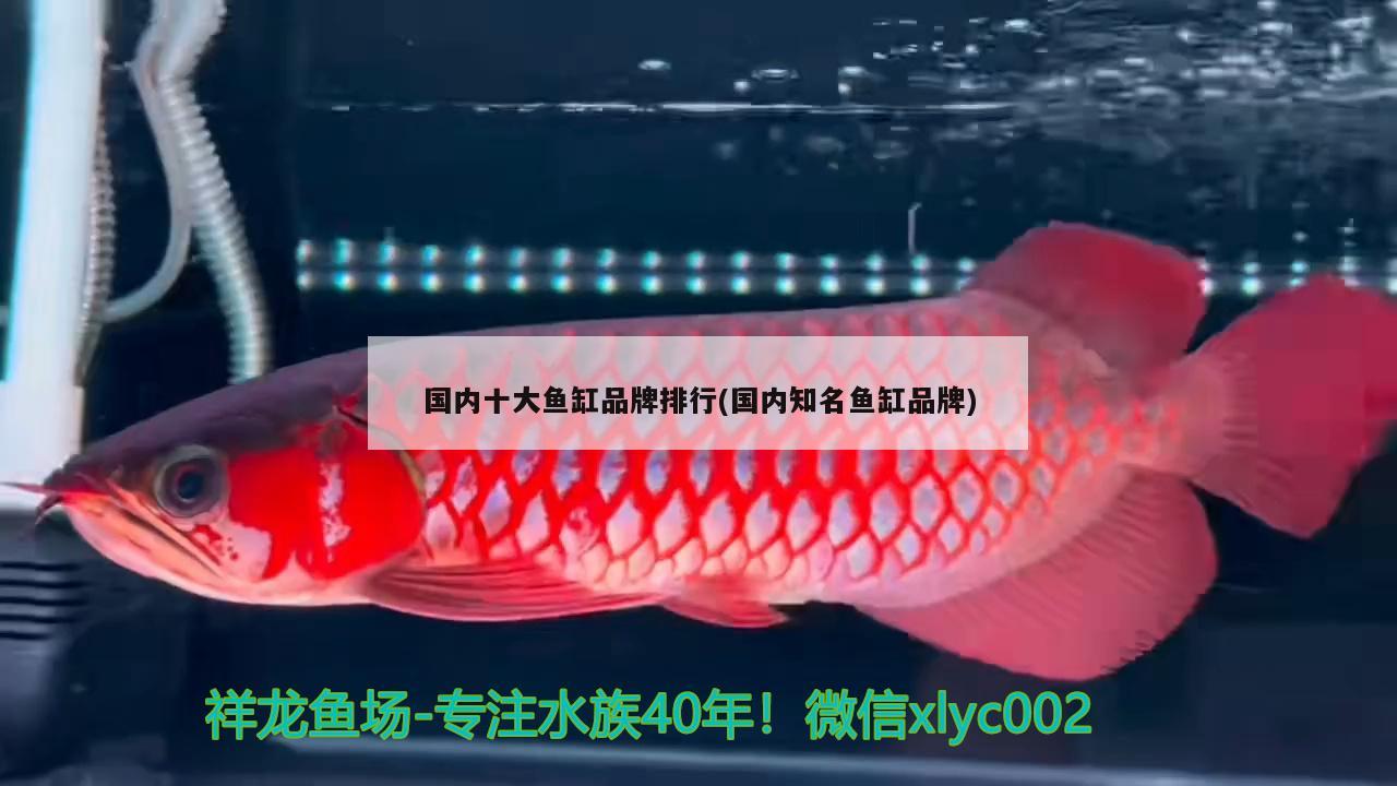 鄧州市晨曉觀賞魚養殖專業合作社
