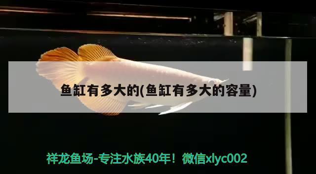鄧州市晨曉觀賞魚養殖專業合作社