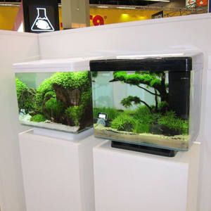 黑鉆魚缸過濾系統的改裝：魚缸過濾系統的基本原理