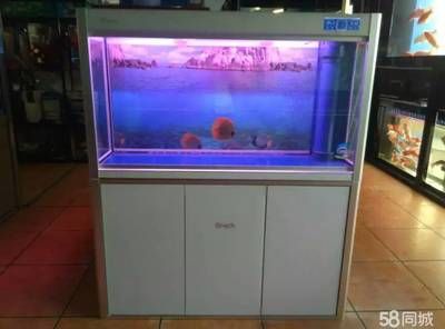 魚缸哪個牌子性價比高又好用 魚缸百科 第4張 魚缸哪個牌子性價比高又好用 魚缸哪個牌子性價比高又好用 魚缸百科 第4張