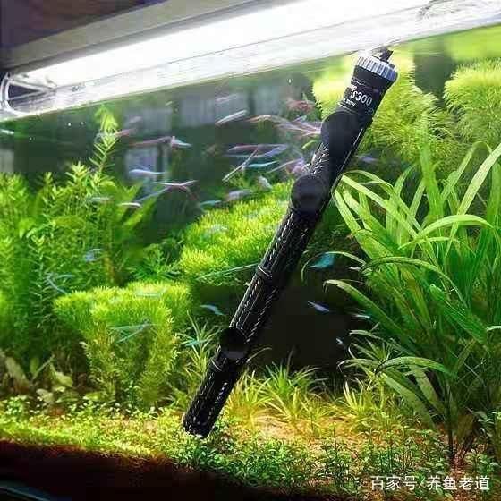 廣州魚缸加熱棒生產廠家及其產品特點：水族加熱棒的安全使用指南：廣州魚缸加熱棒生產廠家