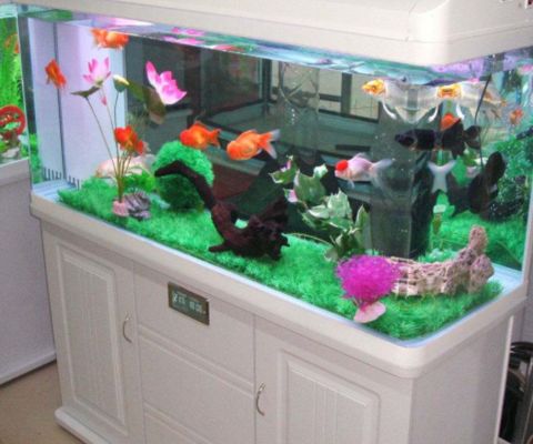 佳寶魚缸過濾器怎么樣好用嗎：佳寶魚缸過濾器好用且值得推薦的水族用品佳寶魚缸過濾器