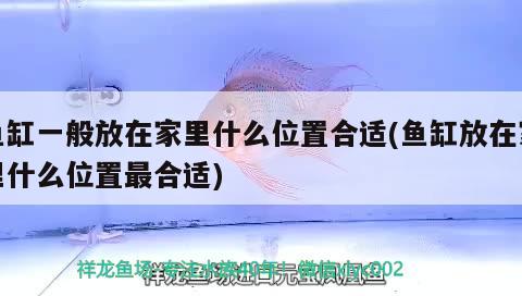 <strong><mark>安徽</mark></strong>洋洋漁業科技有限公司（<strong><mark>安徽</mark></strong>洋洋漁業科技有限公司招聘）