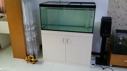 底濾魚缸多久換濾材（底濾魚缸換濾材時間取決于生態平衡來優化魚缸環境）